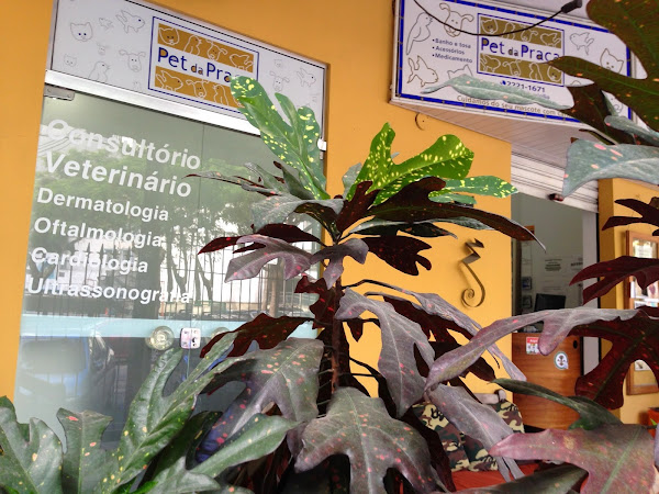 Foto 1 Pet da Praça