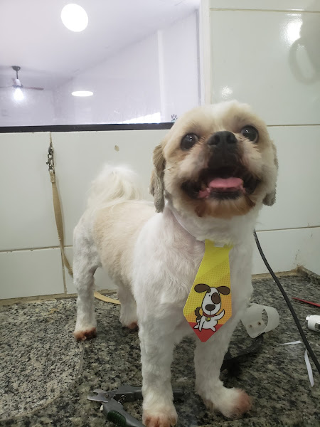 Foto 4 Sheron Pet Shop