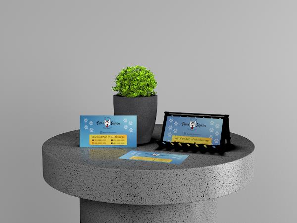 Foto 1 Bicho Sapeca Inhaúma