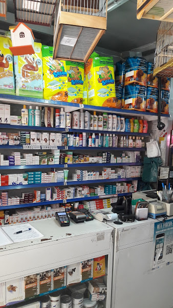 Foto 1 City Dog voluntários da patria botafogo matriz