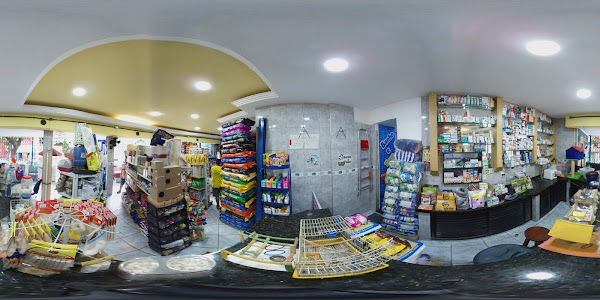 Foto 2 Loucura dos Bichos