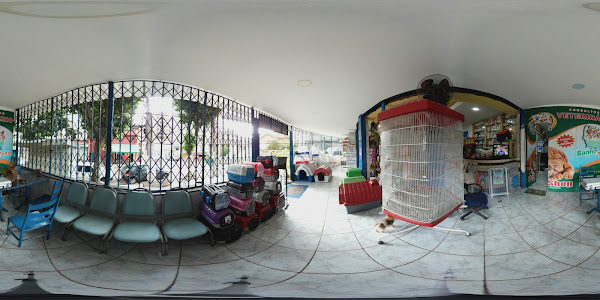 Foto 3 Loucura dos Bichos