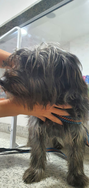 Foto 2 Pet's Daddy pet store