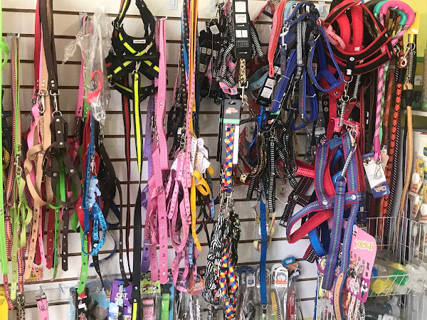 Foto 1 JOTA PET SHOP Foto 1 JOTA PET SHOP