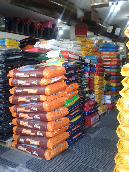 Foto 1 Pet Shop Bicho Legal