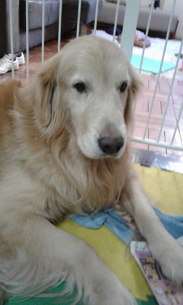 Foto 2 Pet Shop Auquemia