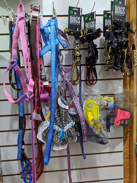 Foto 1 Pet do Bairro