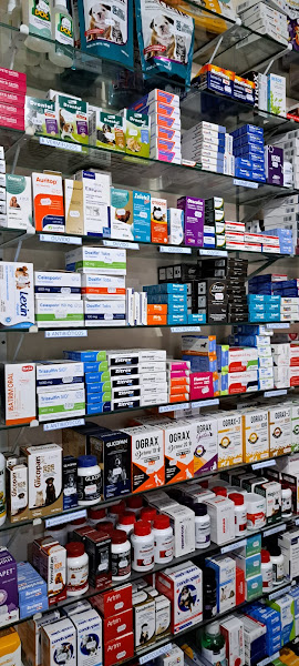 Foto 2 Pinguinho D'Agua