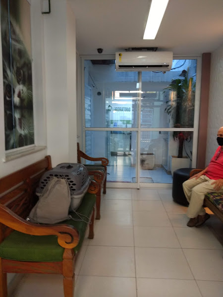 Foto 1 Veterinária Bichos e Caprichos