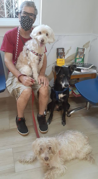 Foto 2 Veterinária Bichos e Caprichos