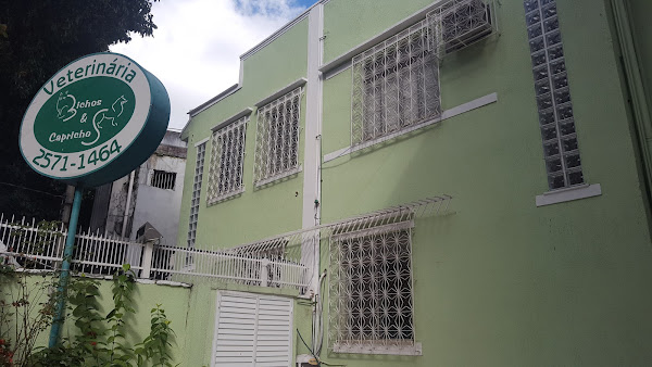 Foto 4 Veterinária Bichos e Caprichos