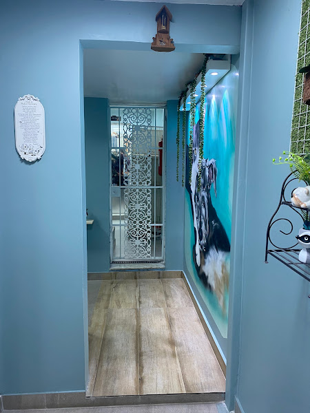 Foto 1 Bicho Bão - Clínica Veterinária