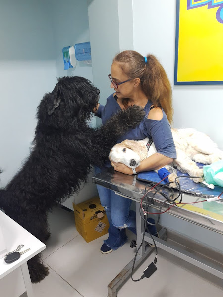 Foto 2 Bicho Bão - Clínica Veterinária