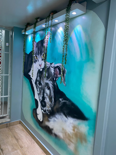 Foto 3 Bicho Bão - Clínica Veterinária