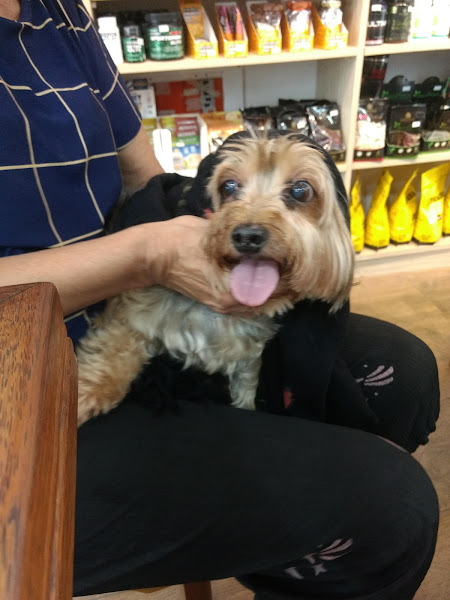 Foto 1 Veterinária Santa Teresa