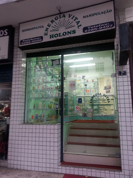 Foto 1 Energia Vital Holons