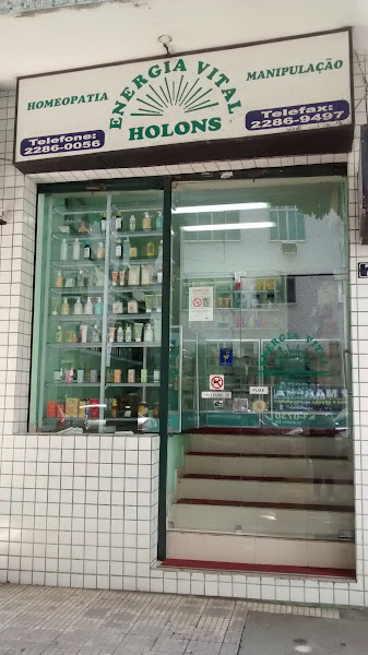 Foto 2 Energia Vital Holons
