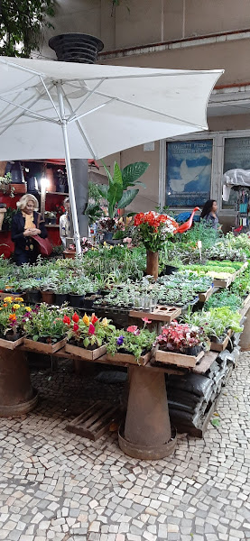 Foto 2 Shopping 344 Tijuca