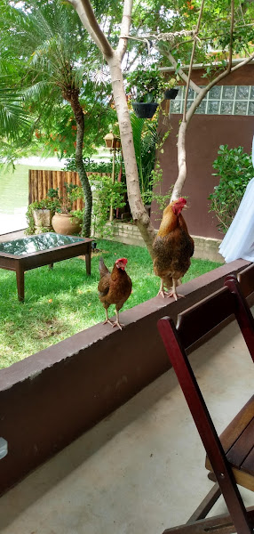 Borracheiro barra pneus