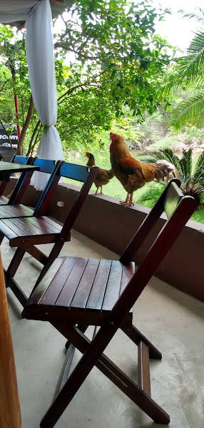 Foto 1 Borracheiro barra pneus