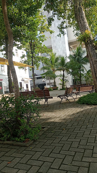 Foto 2 Hospital São Francisco na Providência de Deus