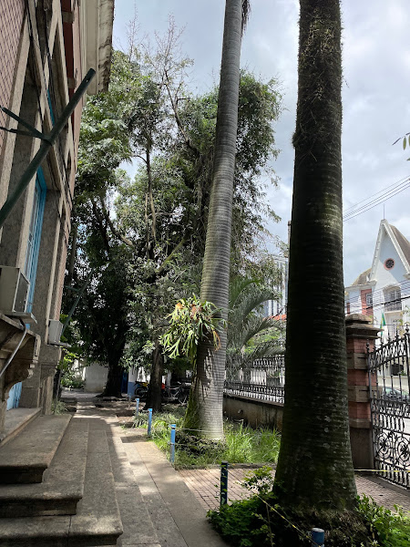 Foto 2 Hospital Municipal Rocha Maia