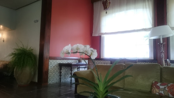 LAMINA HOSP SAO LUCAS