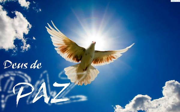 Foto 5 Hospital Eduardo Rabello