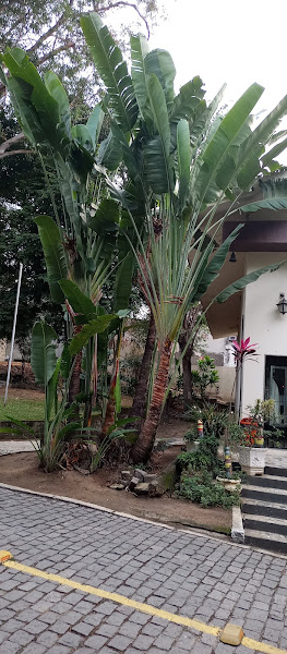 Hospital Mario Kroeff