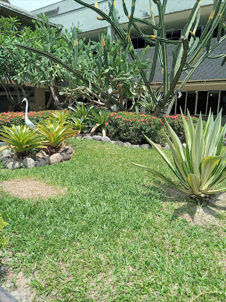 Foto 1 Hospital Central do Exército