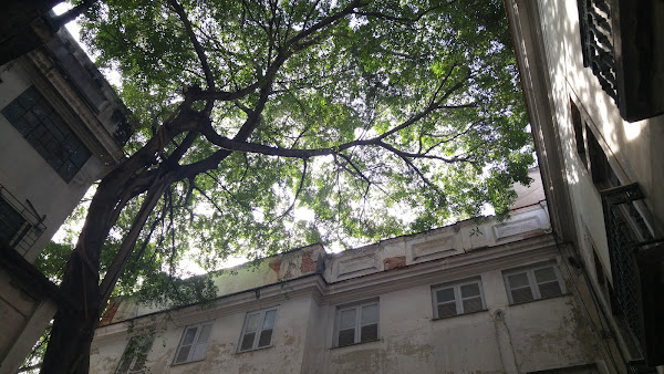 Foto 1 Banco de Sangue da Santa Casa de Misericórdia - Banco de Sangue