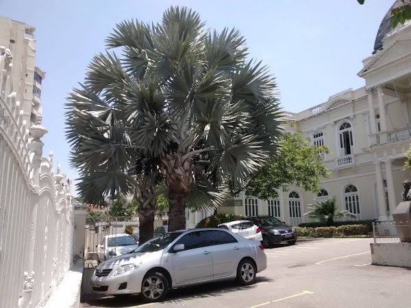 Foto 1 Instituto Estadual de Diabetes e Endocrinologia Luiz Capriglione