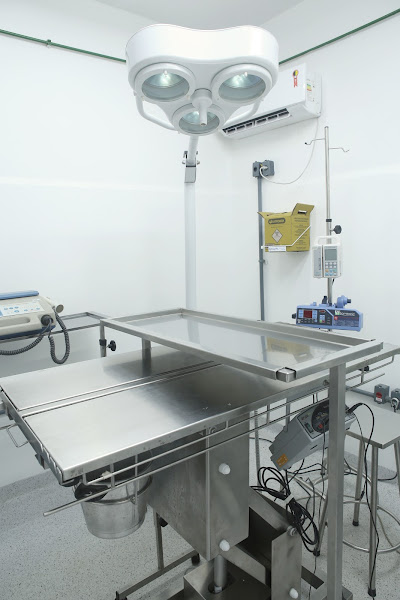 Foto 6 Hospital Popular de Medicina Veterinária - Unidade Realengo