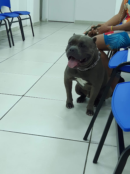 Foto 2 Hospital Popular de Medicina Veterinária - Unidade Tijuca