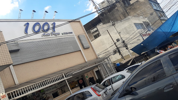 1001 auto peças