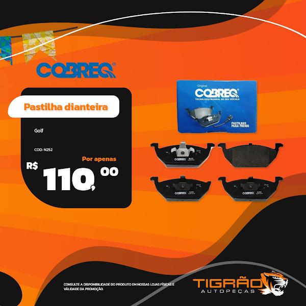 Foto 3 Tigrão Autopeças