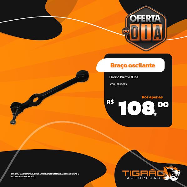 Foto 4 Tigrão Autopeças