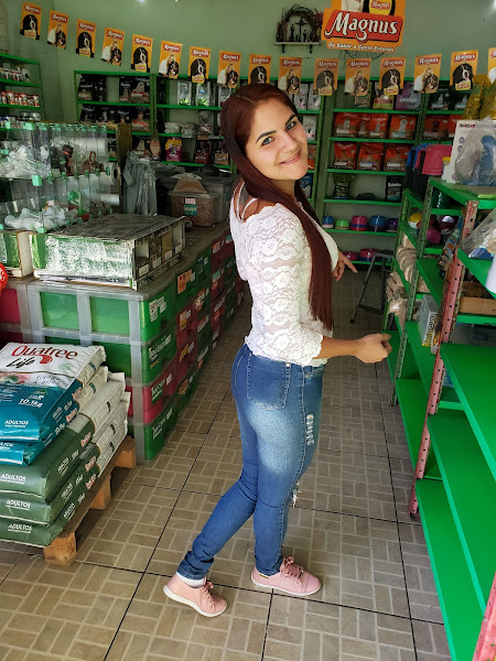 Foto 3 KALIFA AUTO PEÇAS