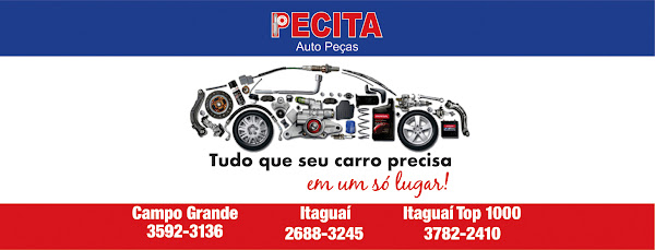 Foto 2 Pecita Auto Peças