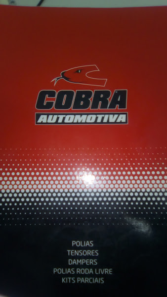 Foto 2 Cobra Rolamentos e Auto Peças