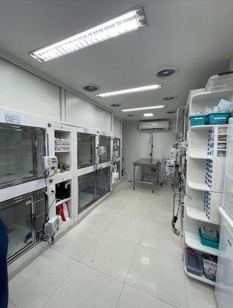 Cetra Vet Recreio - Clínica Veterinária 24h