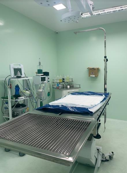 Foto 1 Cetra Vet Recreio - Clínica Veterinária 24h