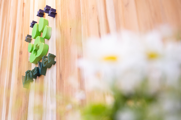 Clinica Veterinária VivaVet