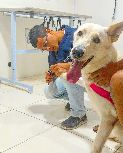 Foto 1 Clinica Veterinária VivaVet