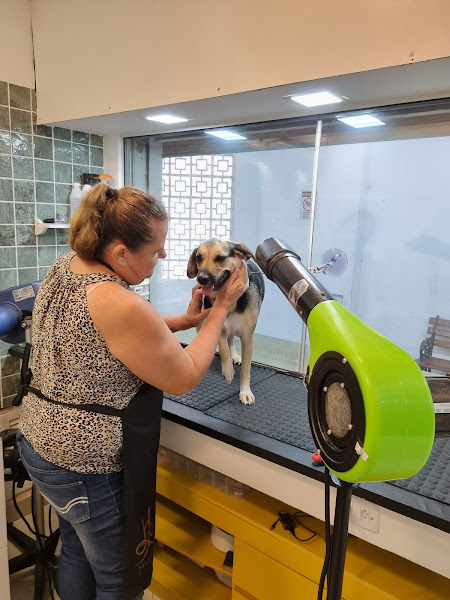 Veterinária Humaitá