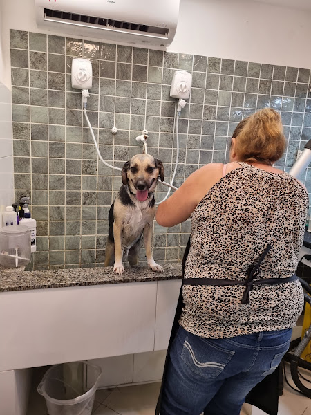 Foto 1 Veterinária Humaitá