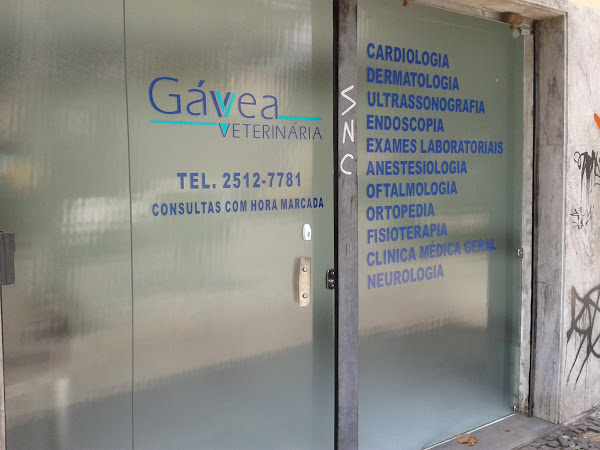 Foto 1 Gávea Veterinária