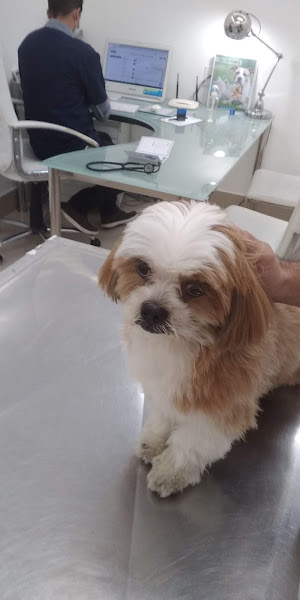 Foto 6 Veterinaria Xatô