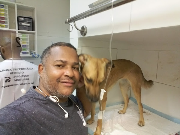 Foto 3 Clínica Veterinária Recreio