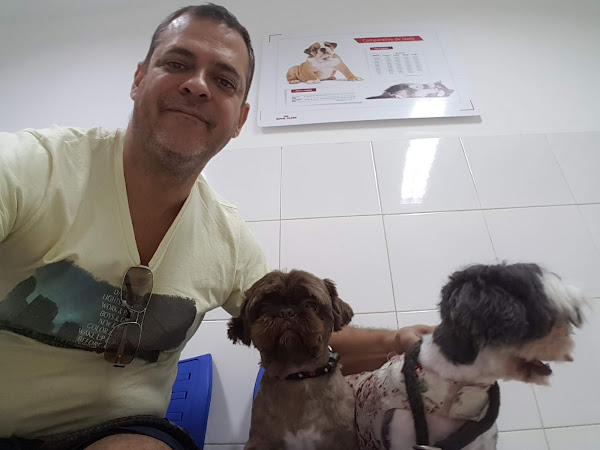Foto 4 Clínica Veterinária Recreio
